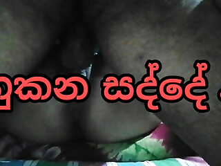 Sri lankan couple sexual relations sound  api hukana sadde ahanna anna.