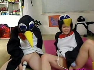 Teen Penguins Cam Free Funny Porn Video